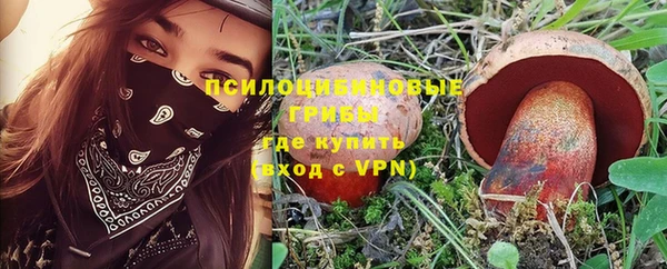 PSILOCYBIN Верхнеуральск